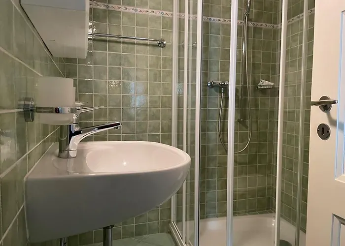 Ascona: Nostrana Apt. 1 דירה *