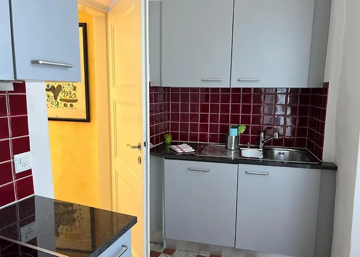 Ascona: Nostrana Apt. 1 דירה *